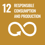 Image of SDG 12 which has been identified as one among the four primary objectives of this course. 